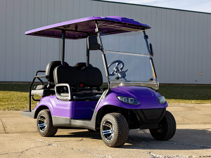 golf cart maintenance, port saint lucie golf cart service, battery service